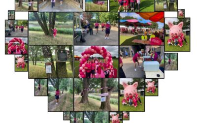 Drunense wandelfestival